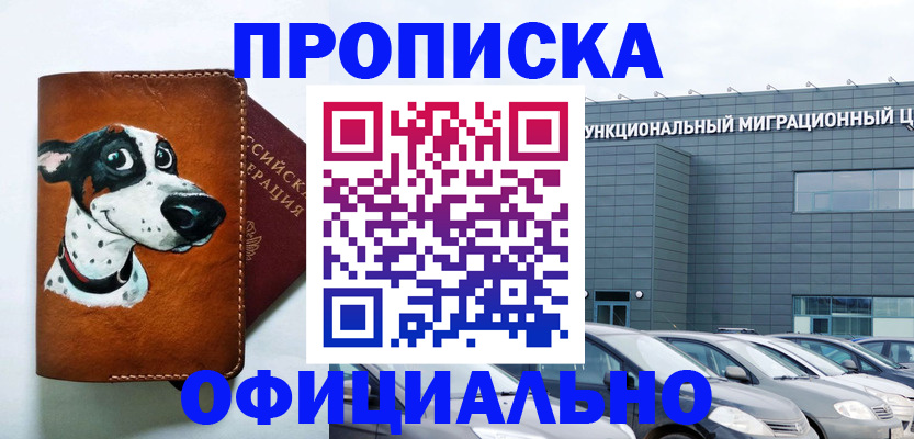 временная прописка в Светлогорске