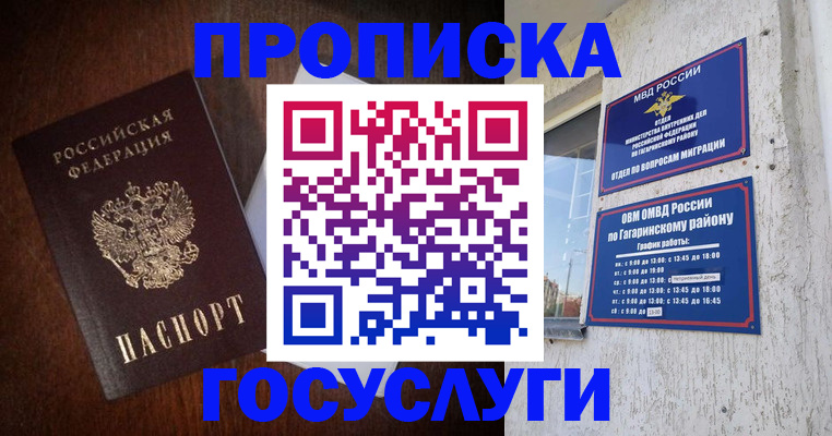 пропишу в квартире в Светлогорске